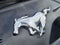 2020 Ford Mustang EcoBoost Fastback