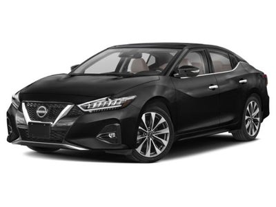 2023 Nissan Maxima Platinum Xtronic CVT