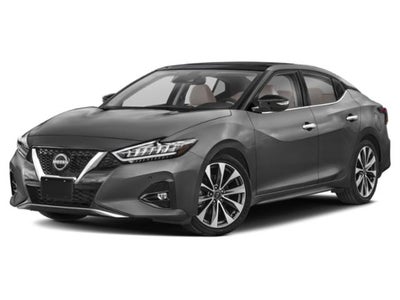 2023 Nissan Maxima Platinum Xtronic CVT