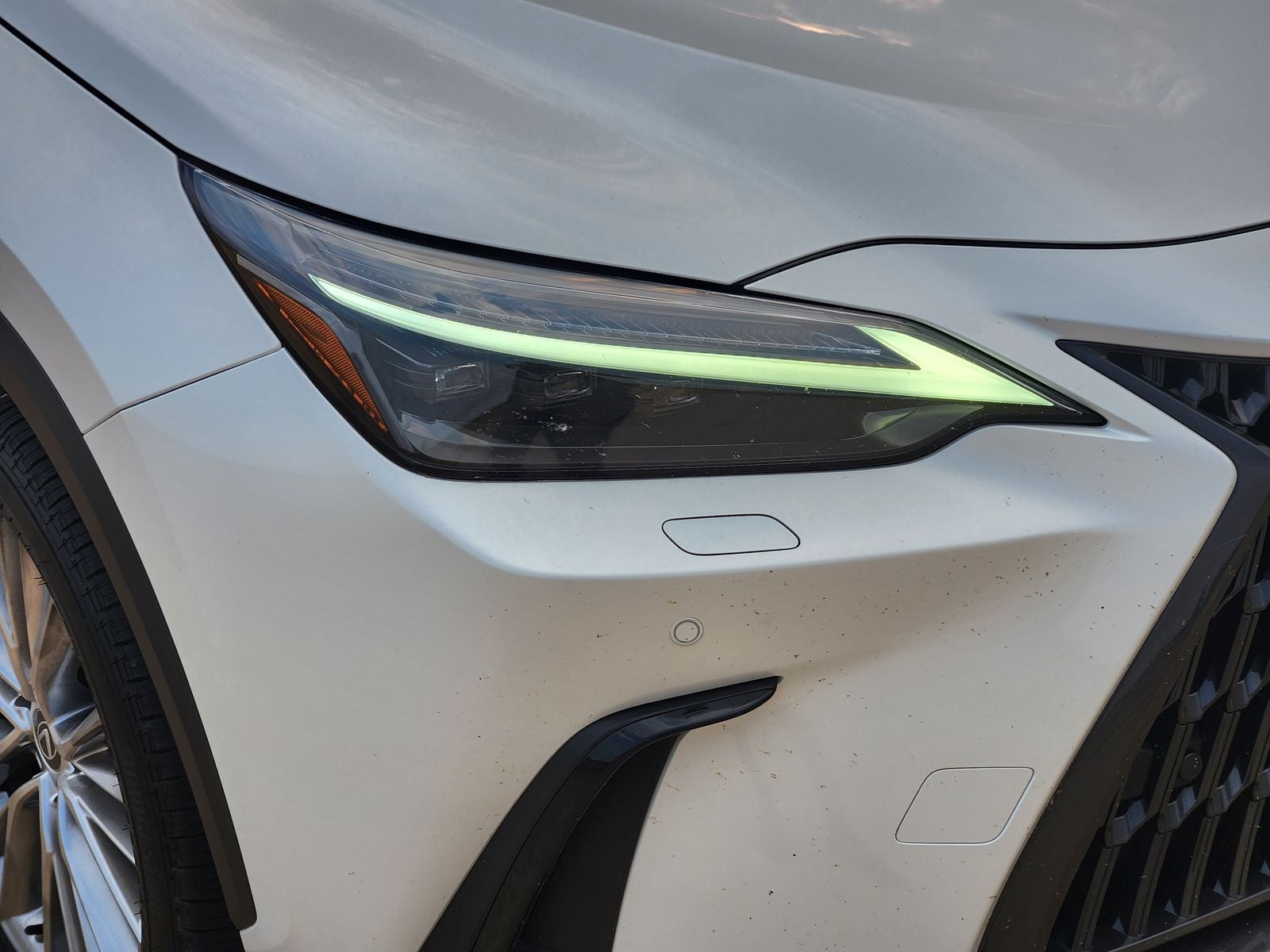2023 Lexus NX 350h Luxury