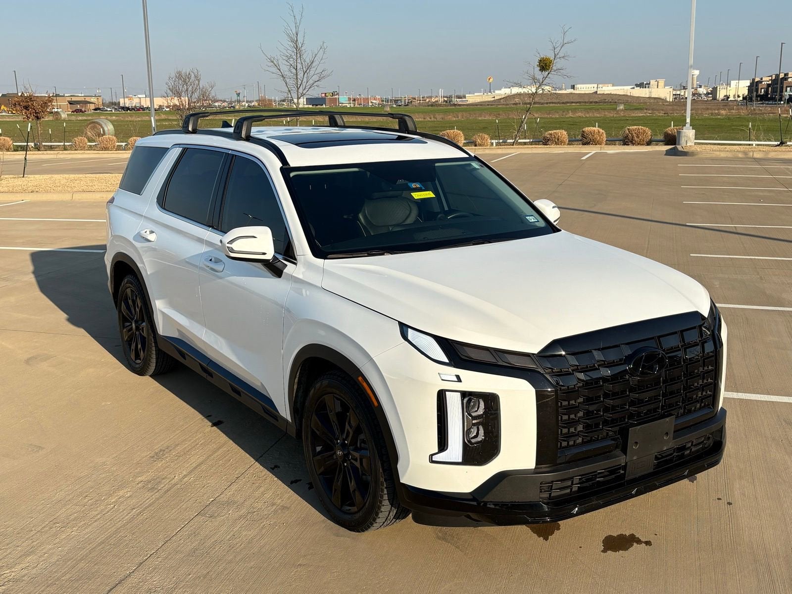 2024 Hyundai Palisade XRT